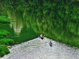 Тихими водами