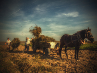 Встигнути до дощу
