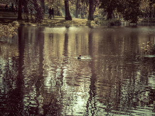 Вижити серед людей