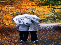 Сиамские близнецы