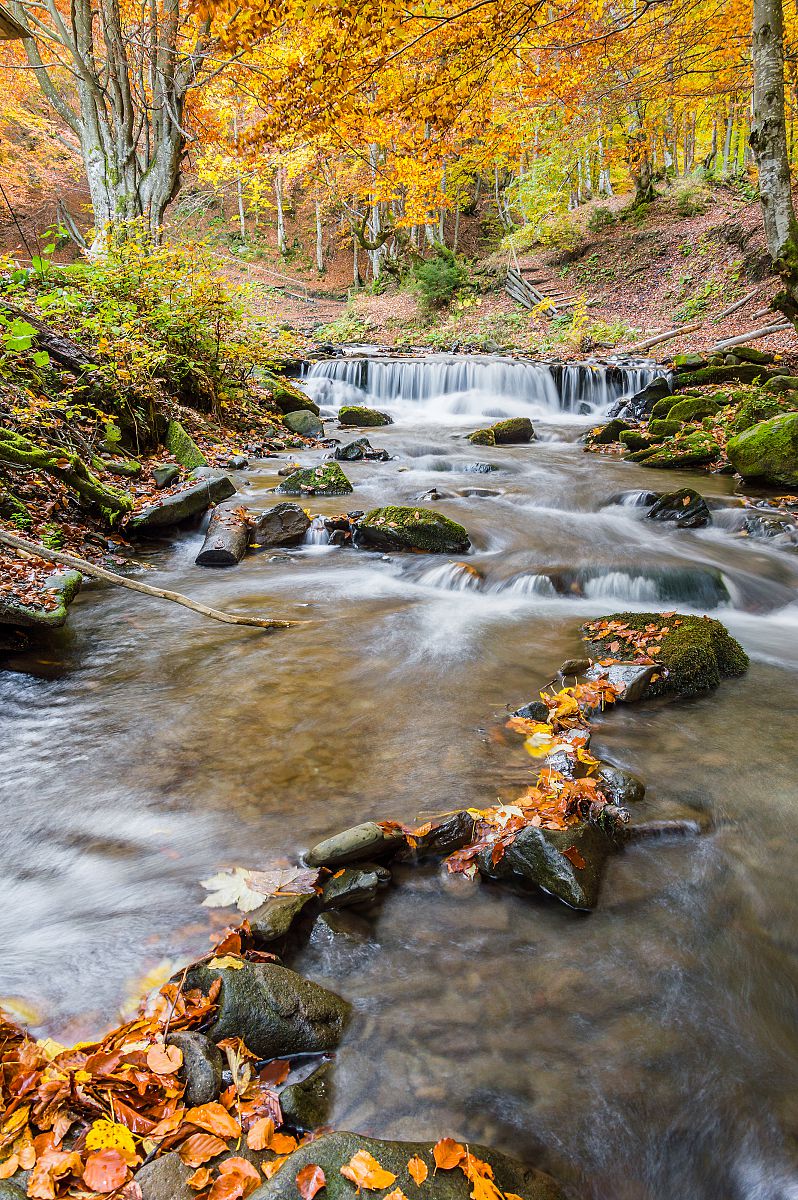 River in golden shine