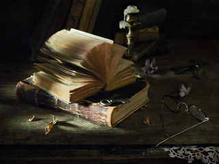 Недочитанная книга