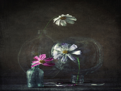 За стеклом. Прощание.