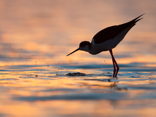 На закате дня