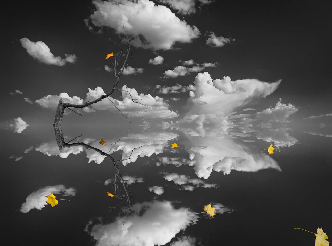 Осінь на планеті AQUA