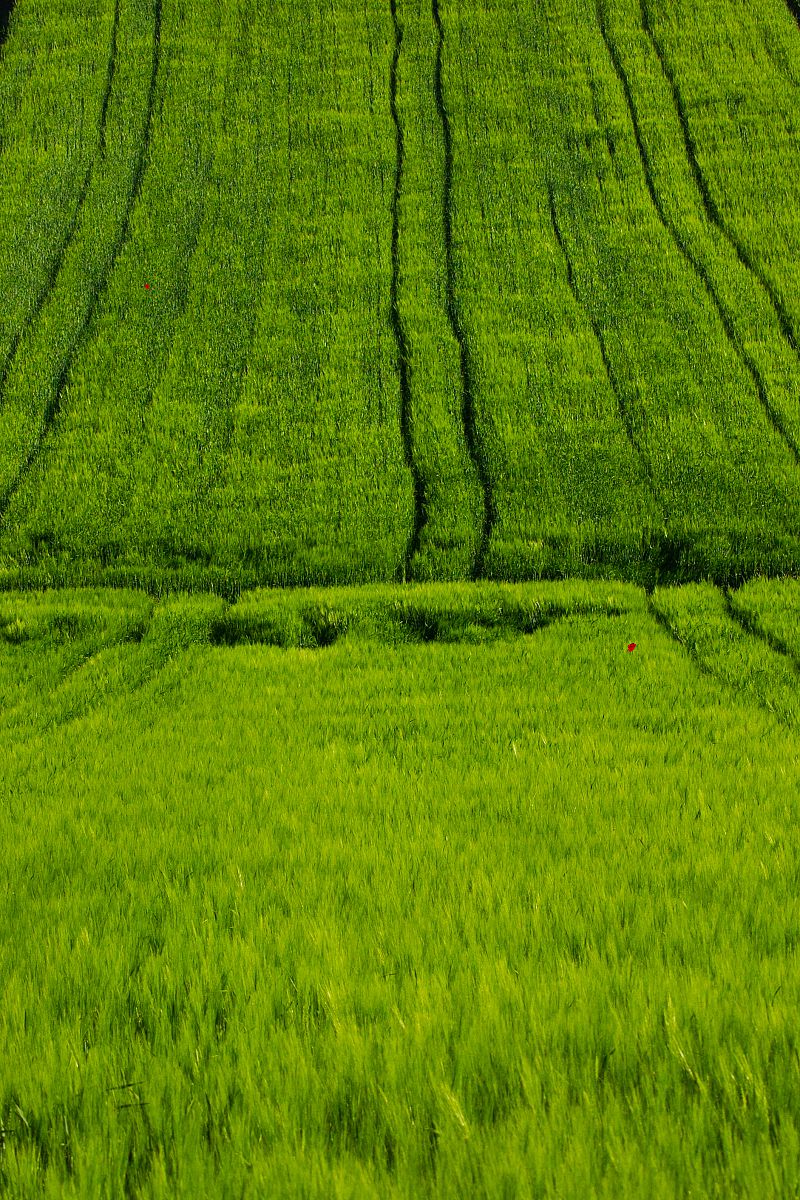 Літній килим