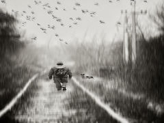 Повернення господаря