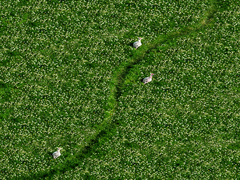 Весняний апогей