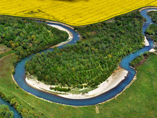 Голуба підкова