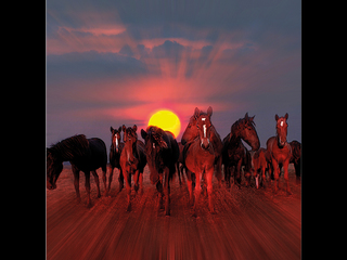 Сонячні перевізники