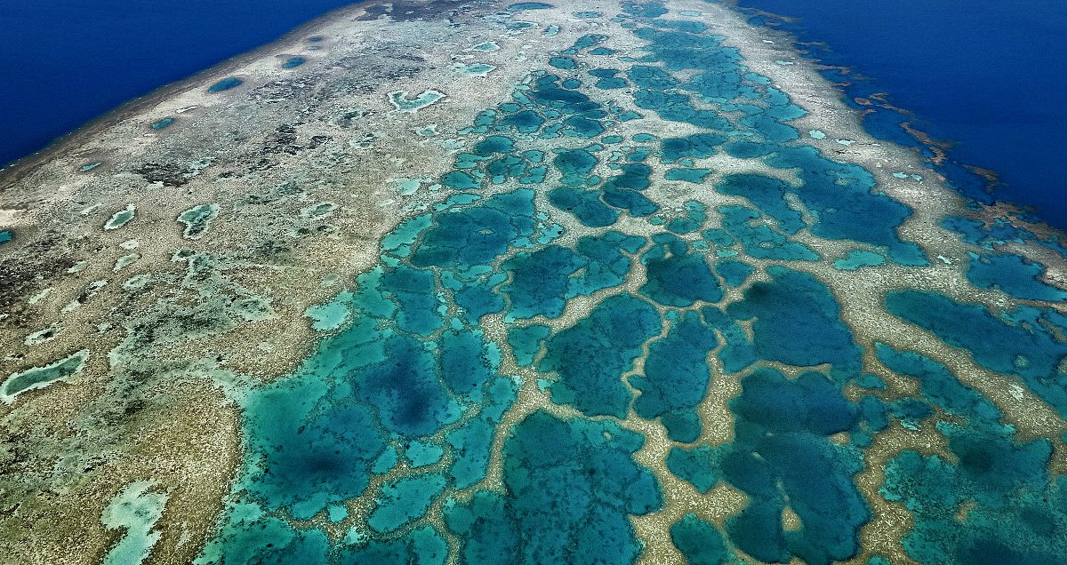 Coral reef and islands 1