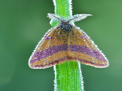 Водні процедури