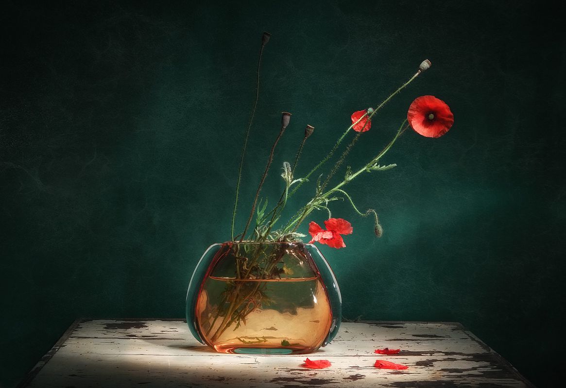 Ніколи знову