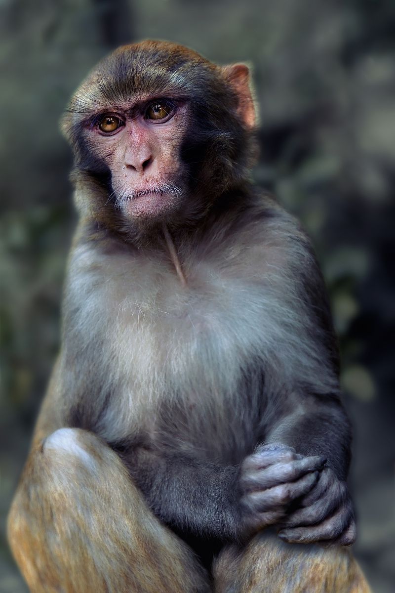 Dialogue with melancholy