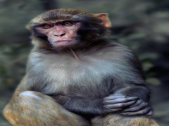 Dialogue with melancholy