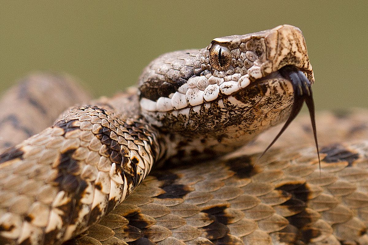 Il mio miglior profilo