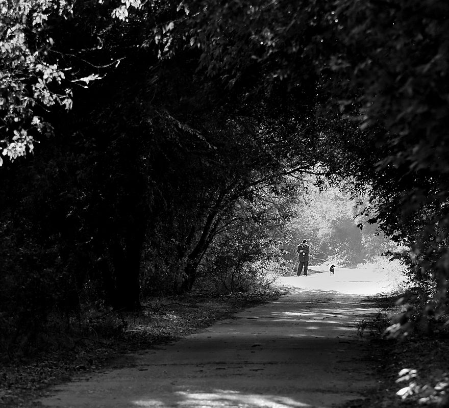 Осенний полдень