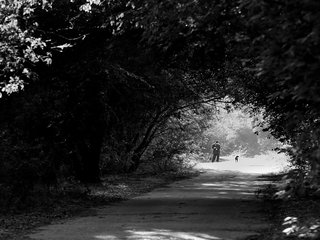 Осенний полдень