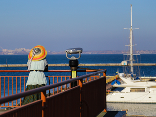 Смотрящая вдаль