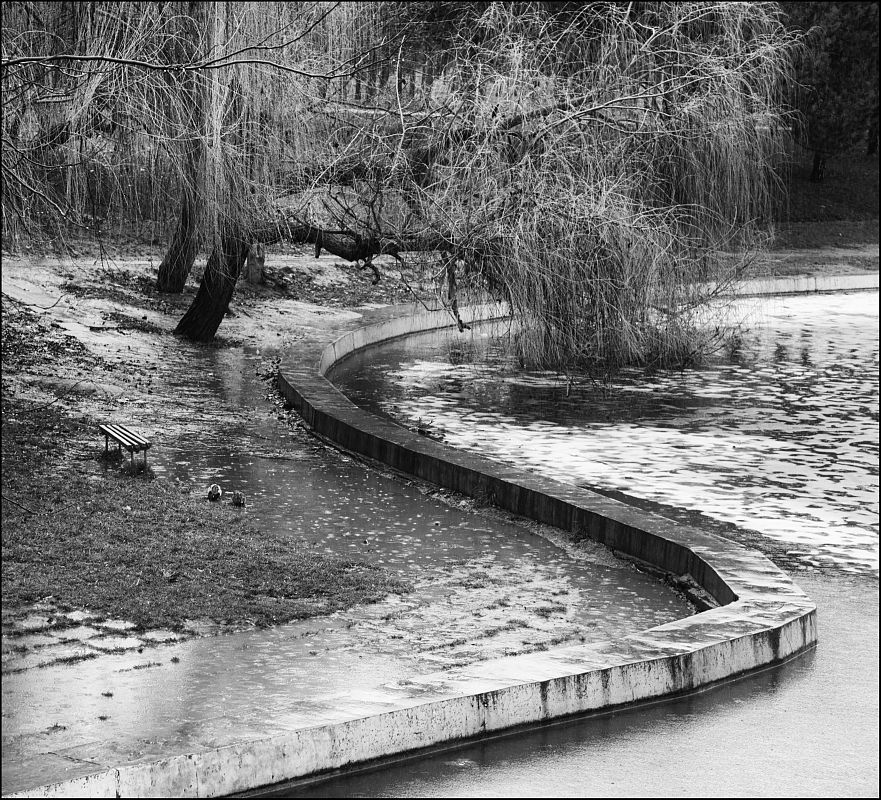 После дождя