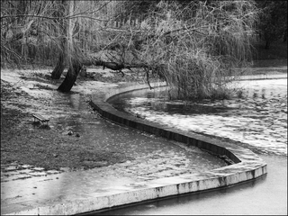 После дождя