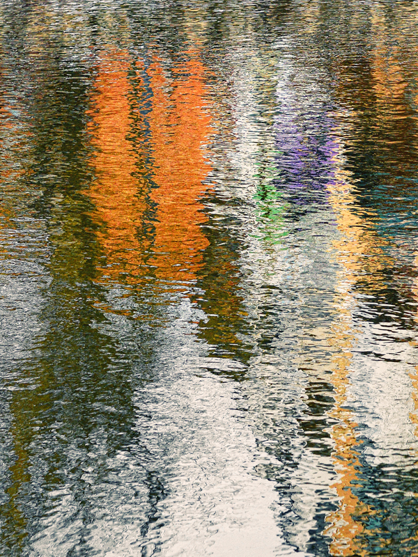 Reflection in water-5