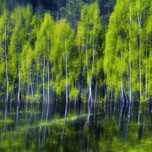 Reflection in water-4