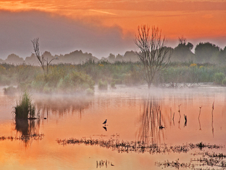 Здолбунів 2