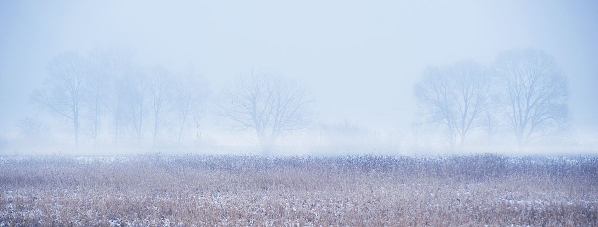 зимова казка