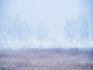 зимова казка