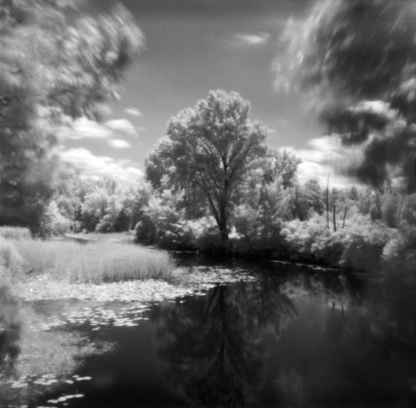 through the looking glass