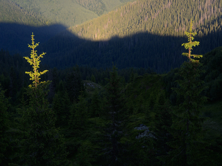 Ховаючись в тіні