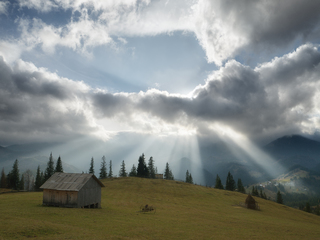 В променях сонця
