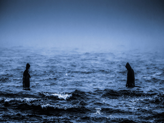 В поисках...