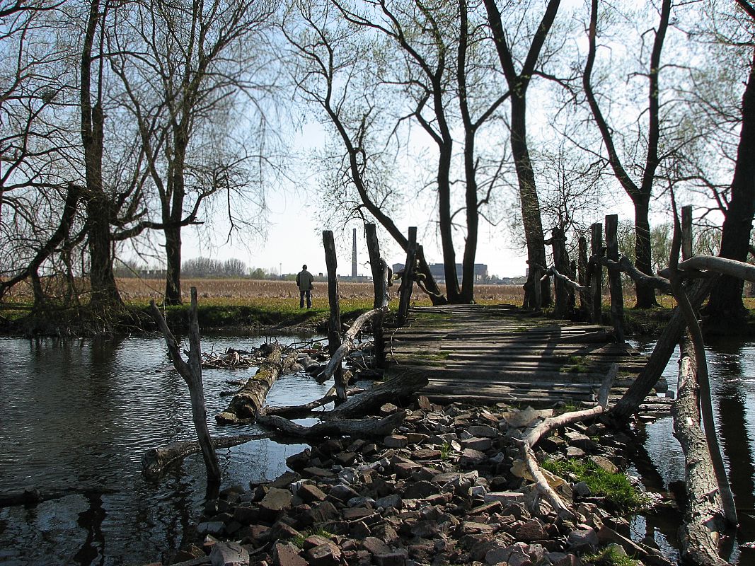 Перспектива