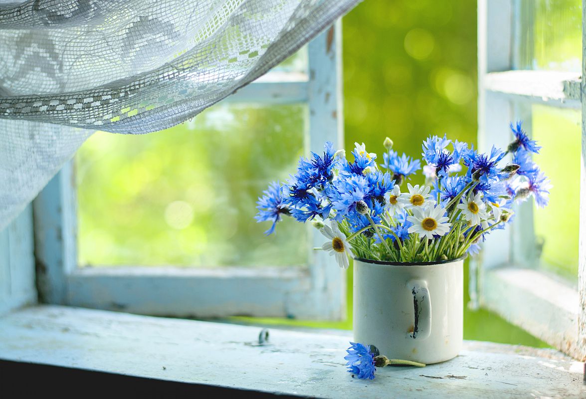 Деревенское утро