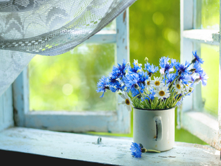 Деревенское утро