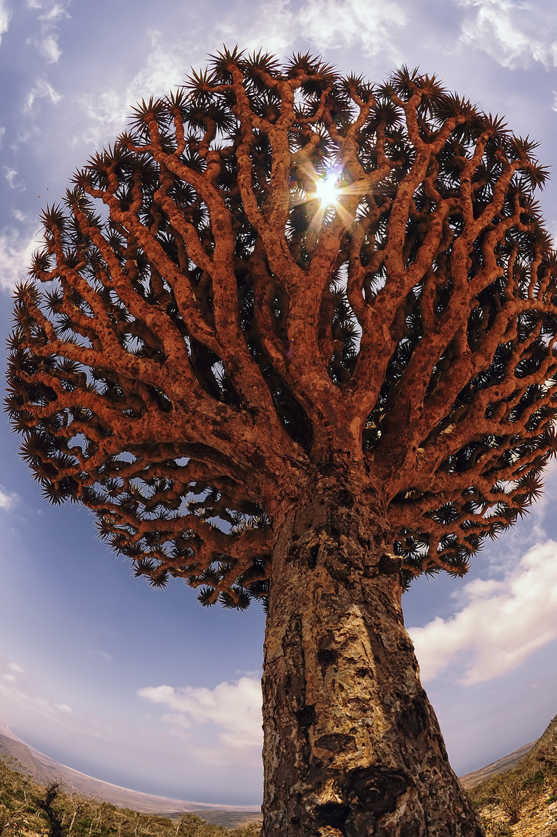 Этот удивительный мир