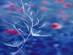 невесомость