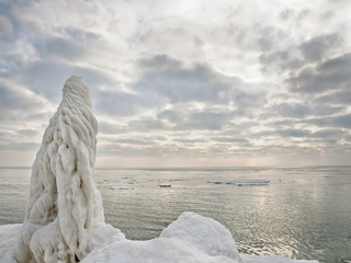 Ледяной страж