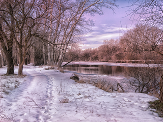 В ожидании весны