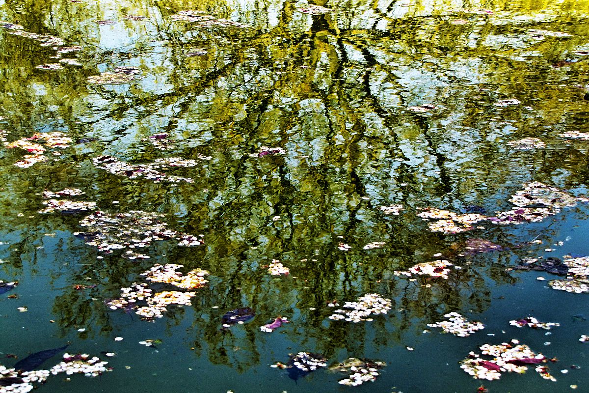Water reflections
