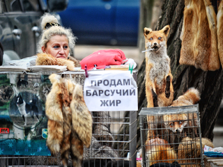 Барсучий жир