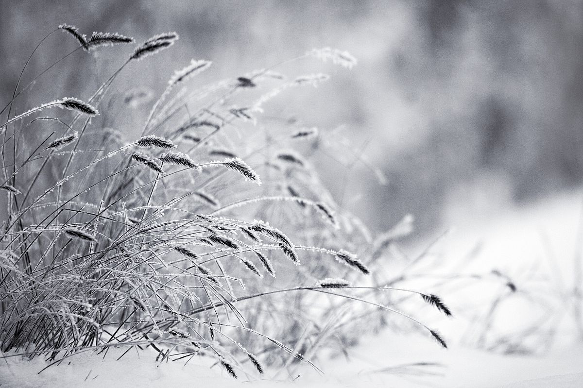 Зимнее настроение