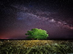 Июльская ночь