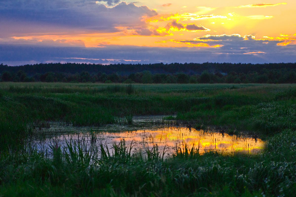 Вечірня пора