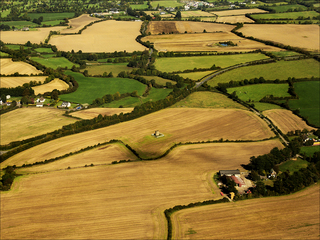 Patchwork fields and farms