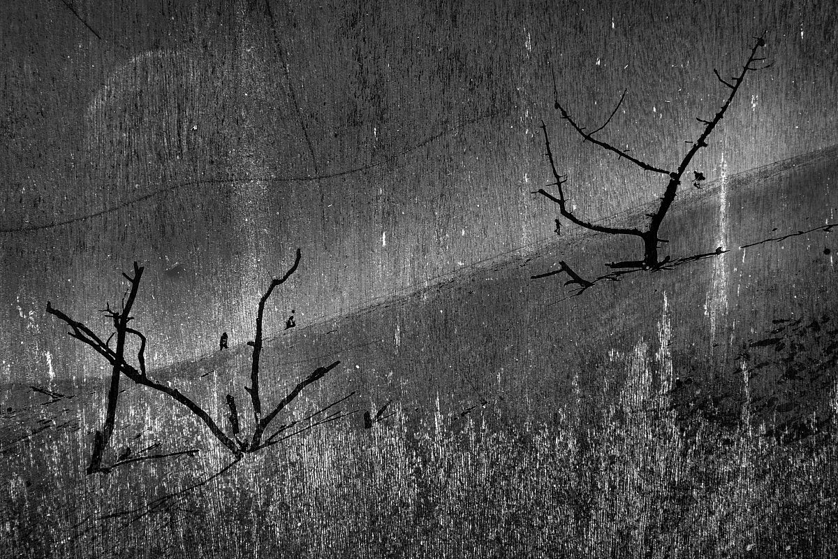 GRANDE DUNE DU PILAT
