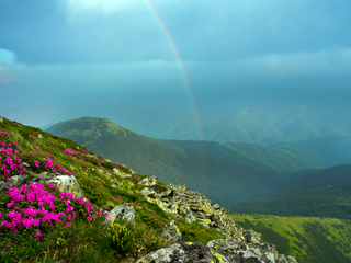 Весна в горах