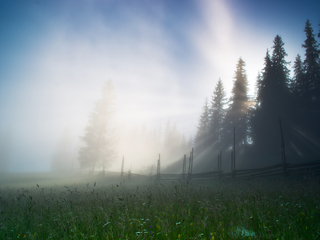 Карпаты просыпаються